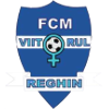 ViitorulReghinw