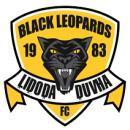 Black Leopards